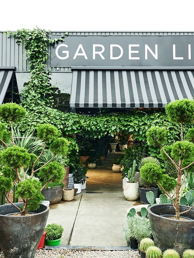 21 Best Sydney Plant Nurseries and Stores | Man of Many