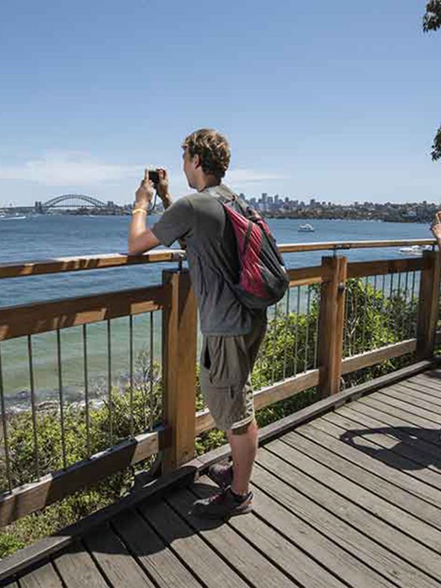 14 Best Walking Tracks and Trails in Sydney | Man of Many