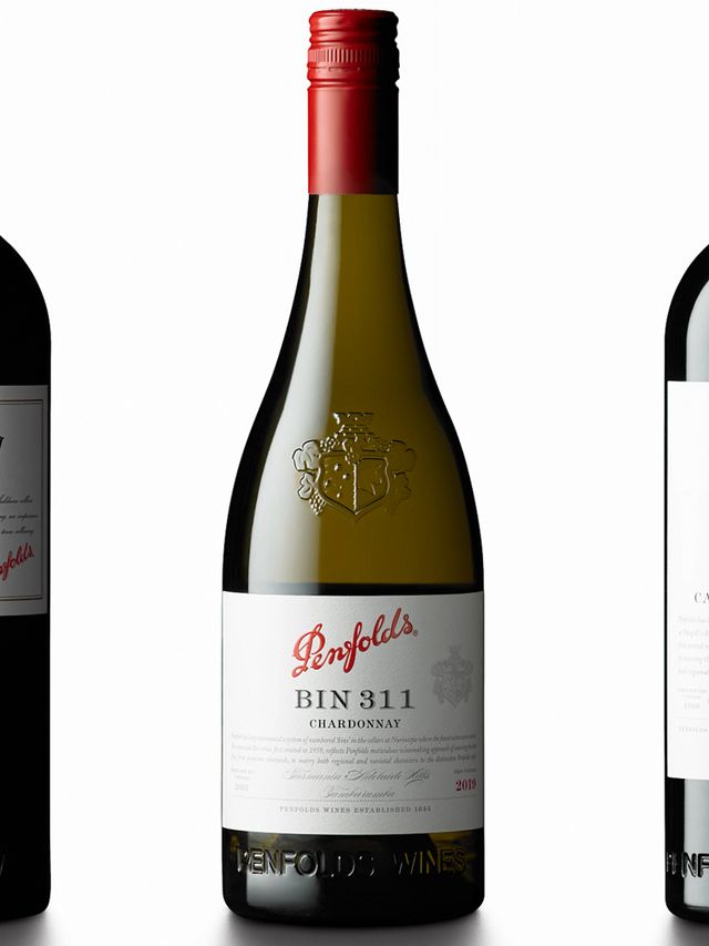 The 3 Best Penfold Wines for Any Wine Lover | Man of Many